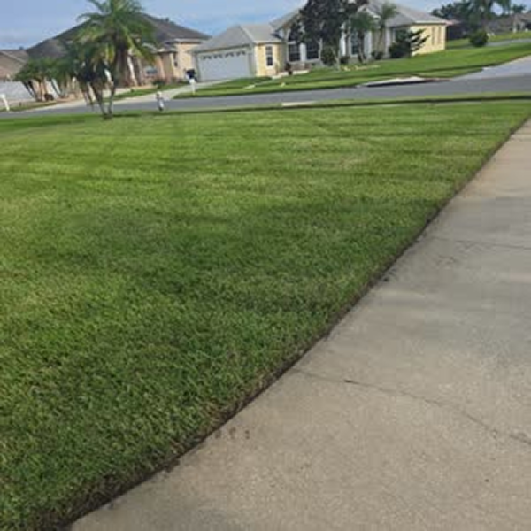 80e6a08_20250905192846323_3e37f0d_20250905192845074_771275175862607_jpg_thumb 2